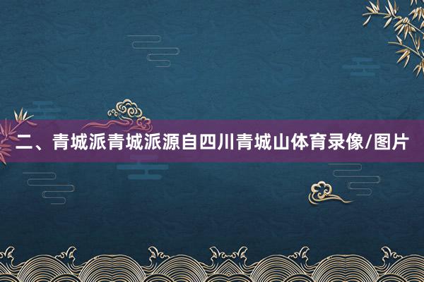 二、青城派青城派源自四川青城山体育录像/图片