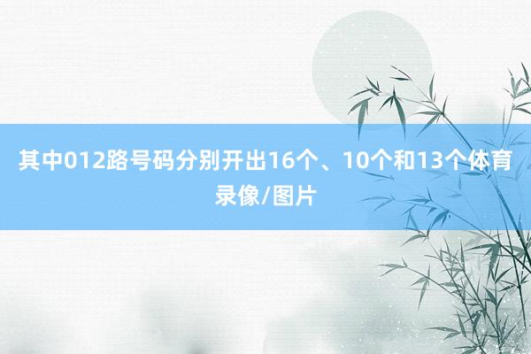 其中012路号码分别开出16个、10个和13个体育录像/图片