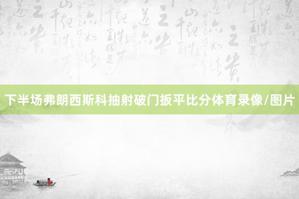 下半场弗朗西斯科抽射破门扳平比分体育录像/图片