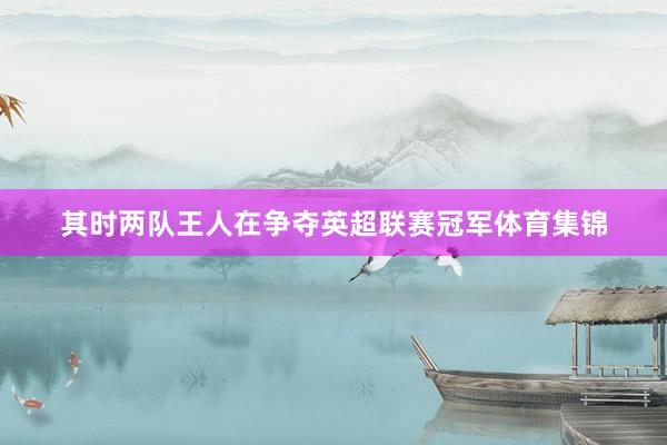 其时两队王人在争夺英超联赛冠军体育集锦
