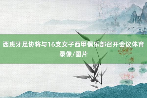 西班牙足协将与16支女子西甲俱乐部召开会议体育录像/图片