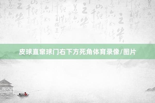 皮球直窜球门右下方死角体育录像/图片