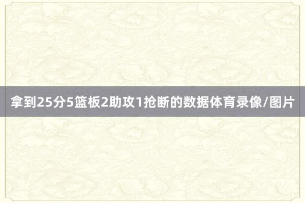拿到25分5篮板2助攻1抢断的数据体育录像/图片