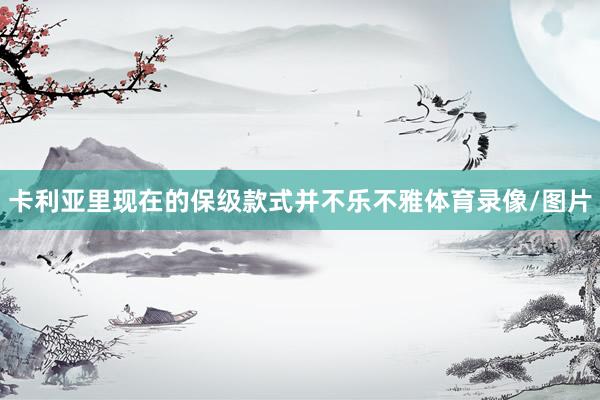卡利亚里现在的保级款式并不乐不雅体育录像/图片
